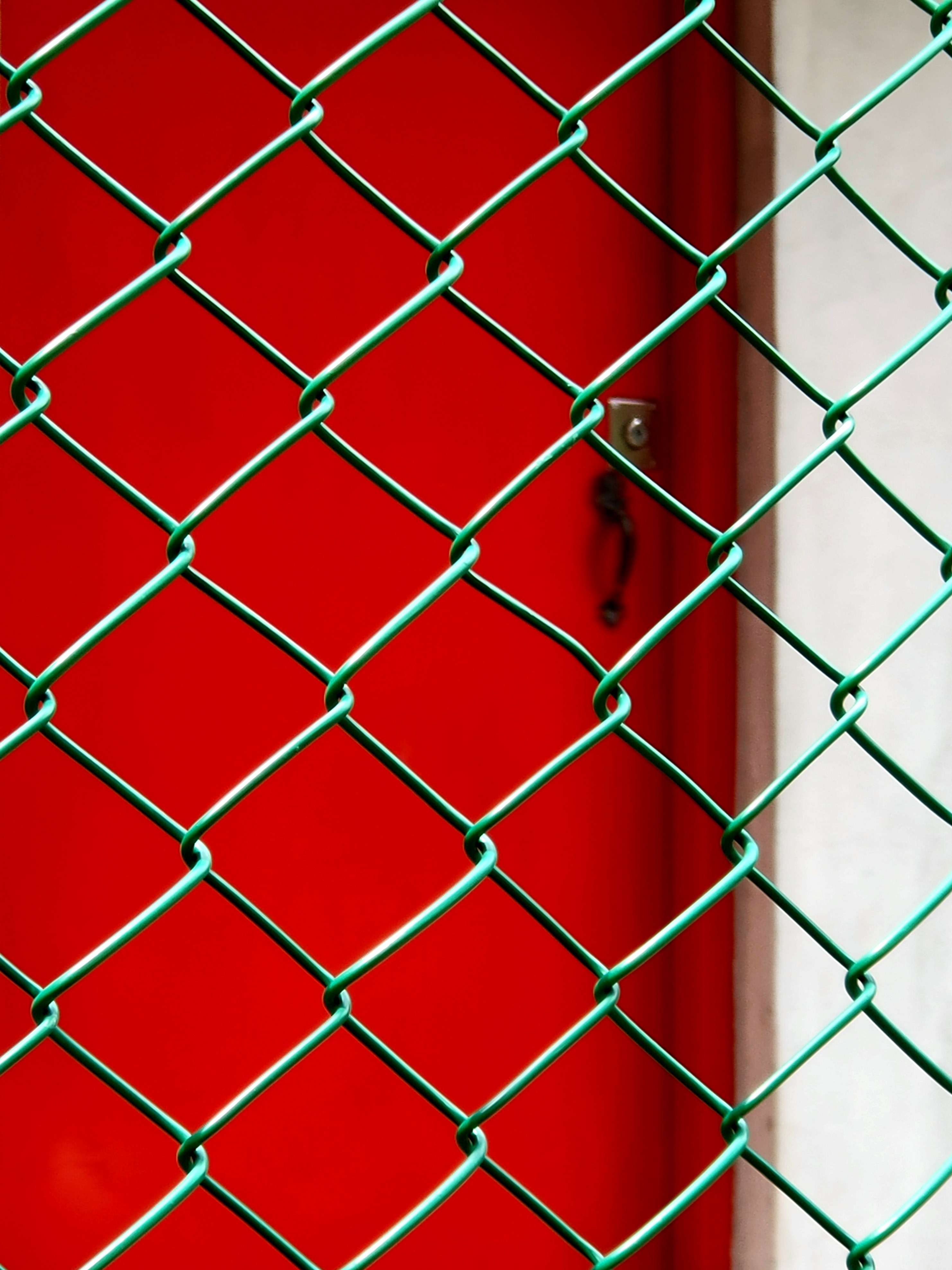 Mesh fence